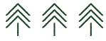 Tree-Icongreen
